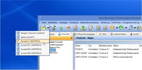 Mandatenfähigkeit bei der Softwareverteilung